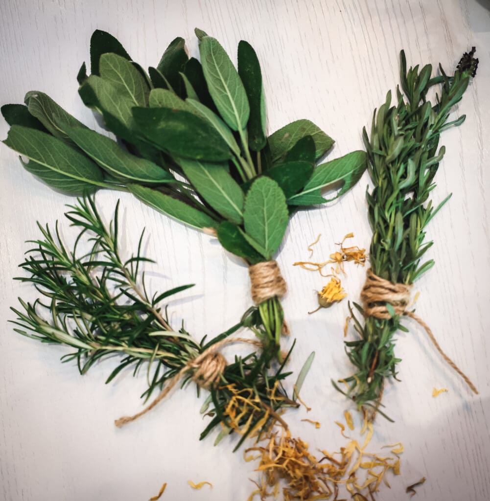Herbal plants rope in a string